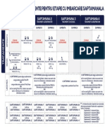 4 Tratamenteimbarcare Saptamanala PDF