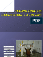 Fluxul Tehnologic de Sacrificare La Bovine