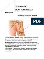 Referat Humerus