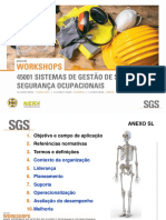 Workshop ISO 45001 PDF