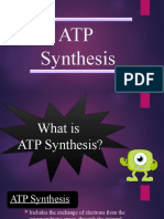 ATP Synthesis-1