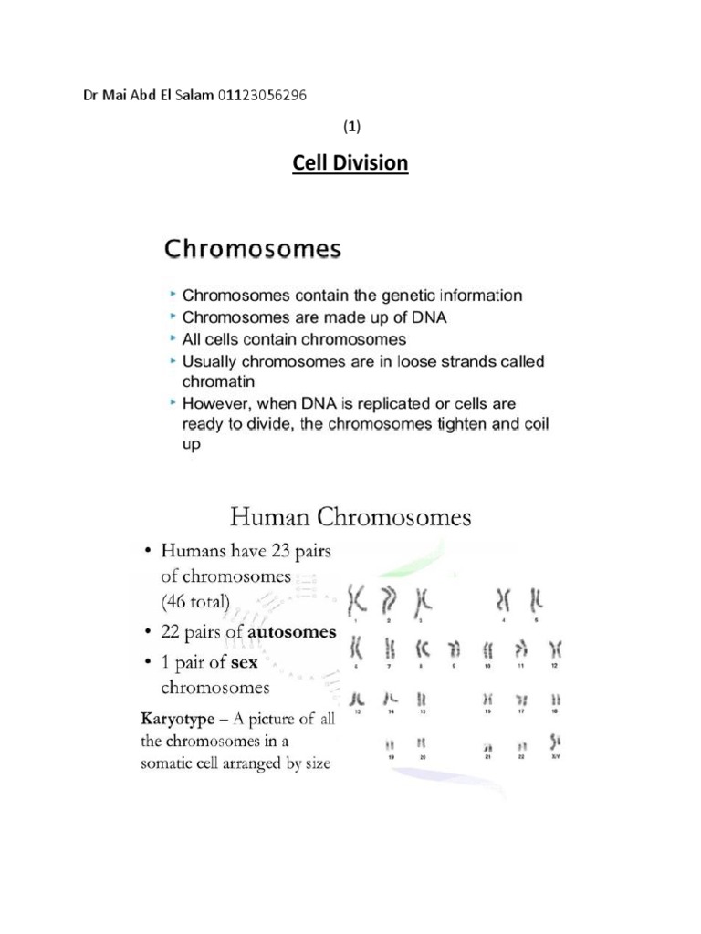 Understanding Mitosis and Meiosis | PDF