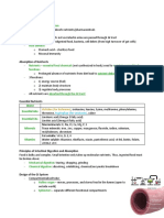 Functions of The GI Tract