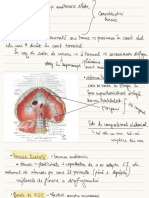 Herniile diafragmatice s2.pdf