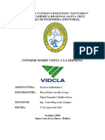 Informe VIDCLA.docx