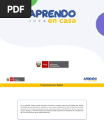 RVM #025-2019-Minedu | PDF