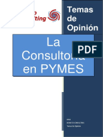 Consultoria en Pymes