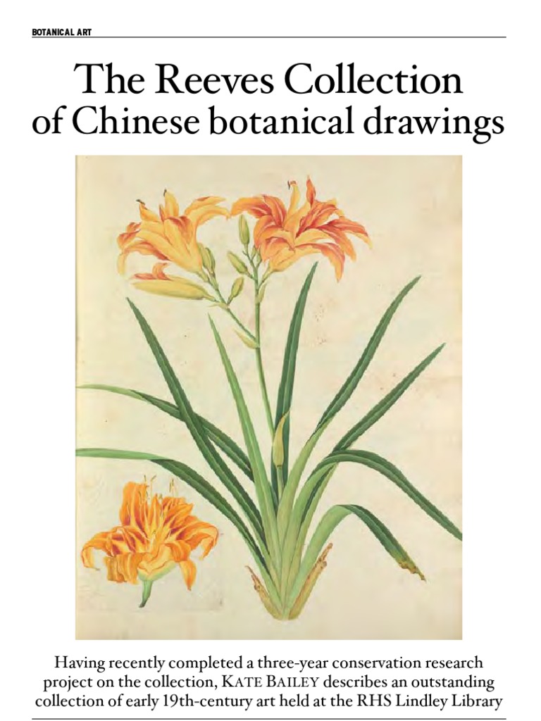John Reeves' Chinese Botanical Collection | PDF | Paintings | Drawing
