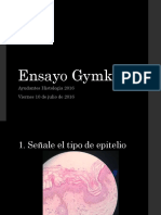 Ensayo Gymkana 160610021711 PDF