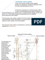 The Autonomic Motor System: Hypothalamus