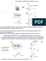 24 Short - Term - Depression - TC FFI - Optional PDF