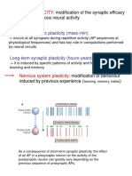 21 Synaptic Plasticity - Short - Term PDF