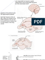 26 learning_memory2_LTP1.pdf