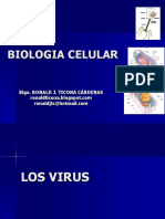 Biologia Celular virus y procariotas.pdf