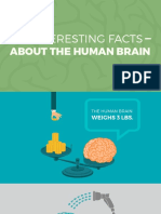 17 Interesting Facts: About The Human Brain