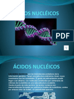 Acidos Nucleicos