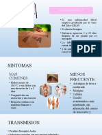 Zika: Síntomas, Transmisión, Diagnóstico y Prevención