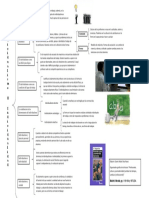 Organizador Grafico 4