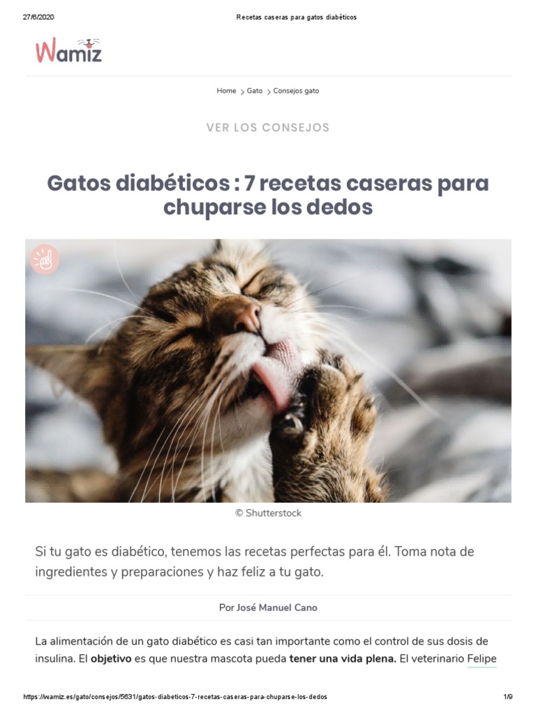 Como Tratar El Acné Felino Remedios Caseros Recetas Caseras para Gatos Diabéticos | PDF | Diabetes | Dieta