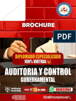 Brochure Diplomado en Auditoria y Contron Gubernamental PDF