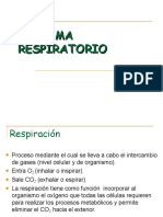 Sistema_respiratorio