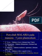 MALARIA