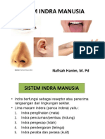 Sistem Indra Pada Manusia