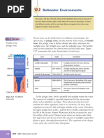 Saltwater Environments: Key Terms