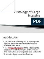 Histology of Large Intestine