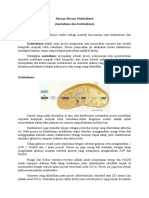 Macam-Macam Metabolisme