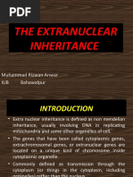 Download Extra Nuclear Inheritance by muhammadrizwana SN46747732 doc pdf