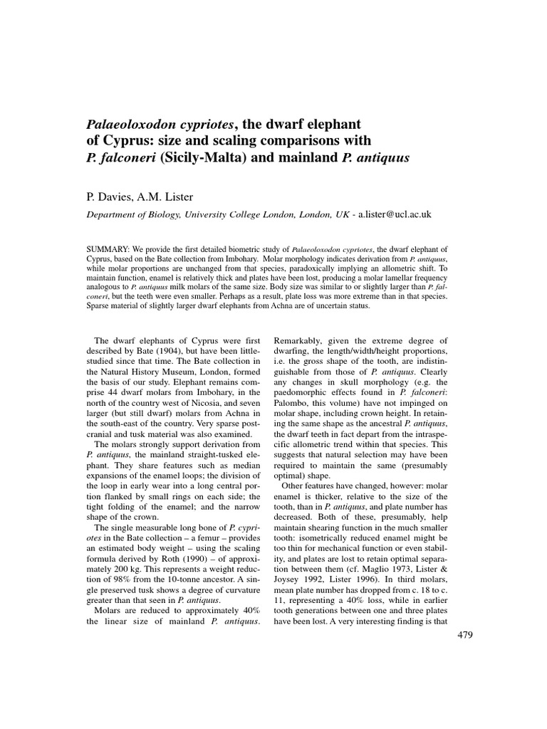 Palaeoloxodon Cypriotes, The Dwarf Elephant of Cyprus Size and Scaling