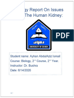 Biology-Report-On-Issues-With-The-Human-Kidney, by Ayhan AbdulAziz Ismail