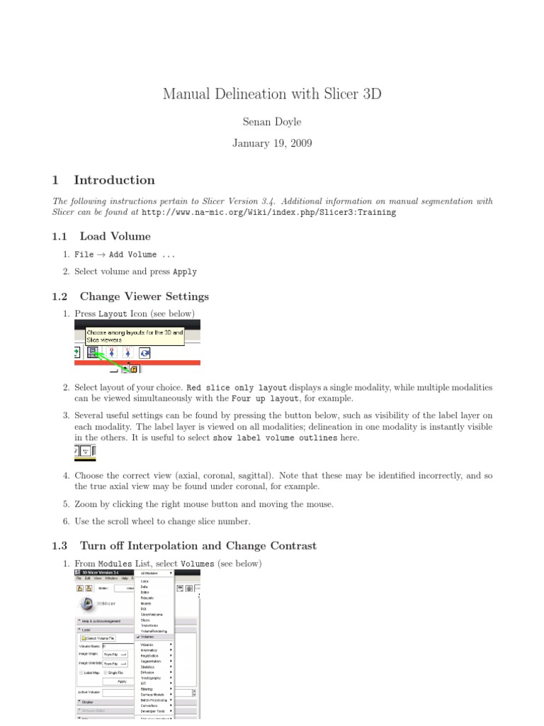 Manual Segmentation Guide for Slicer 3D | PDF