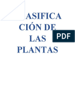 Clasificación de Las Plantas