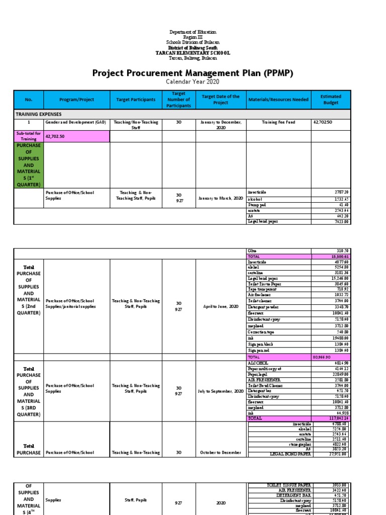 Project Procurement Management Plan (PPMP) : Calendar Year 2020 | PDF ...