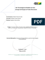 Relatório_Funtac_Geração_de_Energia_Elétrica_Óleos_Vegetais_e_Biocombustíveis
