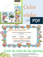 Ciclo Vital de Los Seres Vivos 2