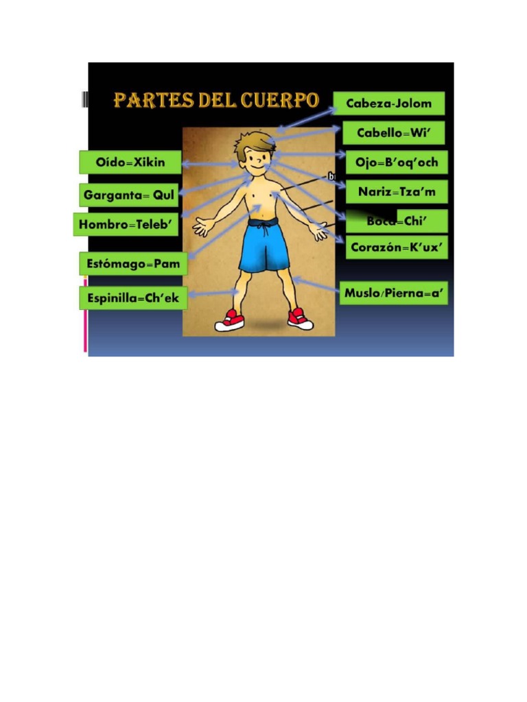 Kaqchikel Partes Del Cuerpo | PDF