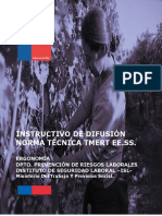 Instructivo de La Difusión Norma Tec. Tmert Ee - Ss. Isl (Material Apoyo) PDF