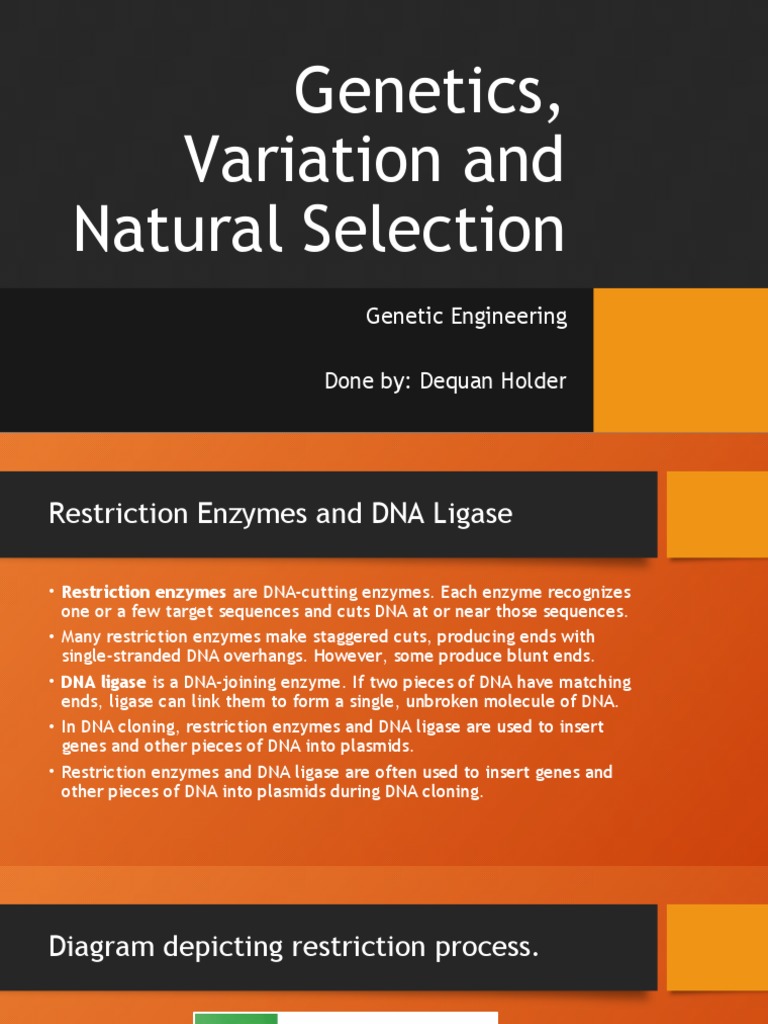 Aspects of Genetic Engineering 2.4 | PDF | Molecular Cloning ...