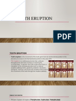 Tooth Eruption Stages and Phases