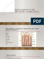 The internal anatomy of the maxillary  tooth.pptx