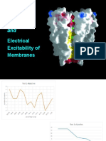 Chap12 Membrane Potentials lecture 1.pptx