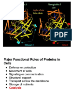 Enzymes _ Energy 1