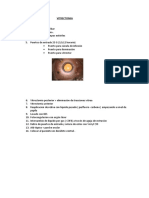 Reporte Operatorio Vitrectomia