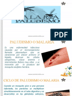 Diapositivas Paludismo