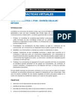 CDS062-G2-PV01-CO-Esp_v0 (1).pdf