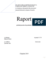 Raport.docx