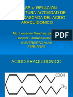 CLASE 4 AINES REA Cascada AA-1